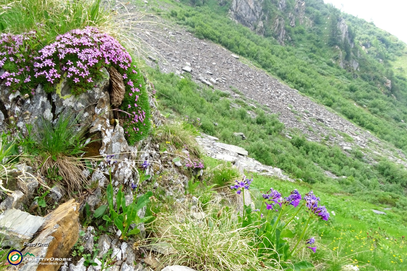 69 Il vallone-canale pietroso parte dall'alto.JPG